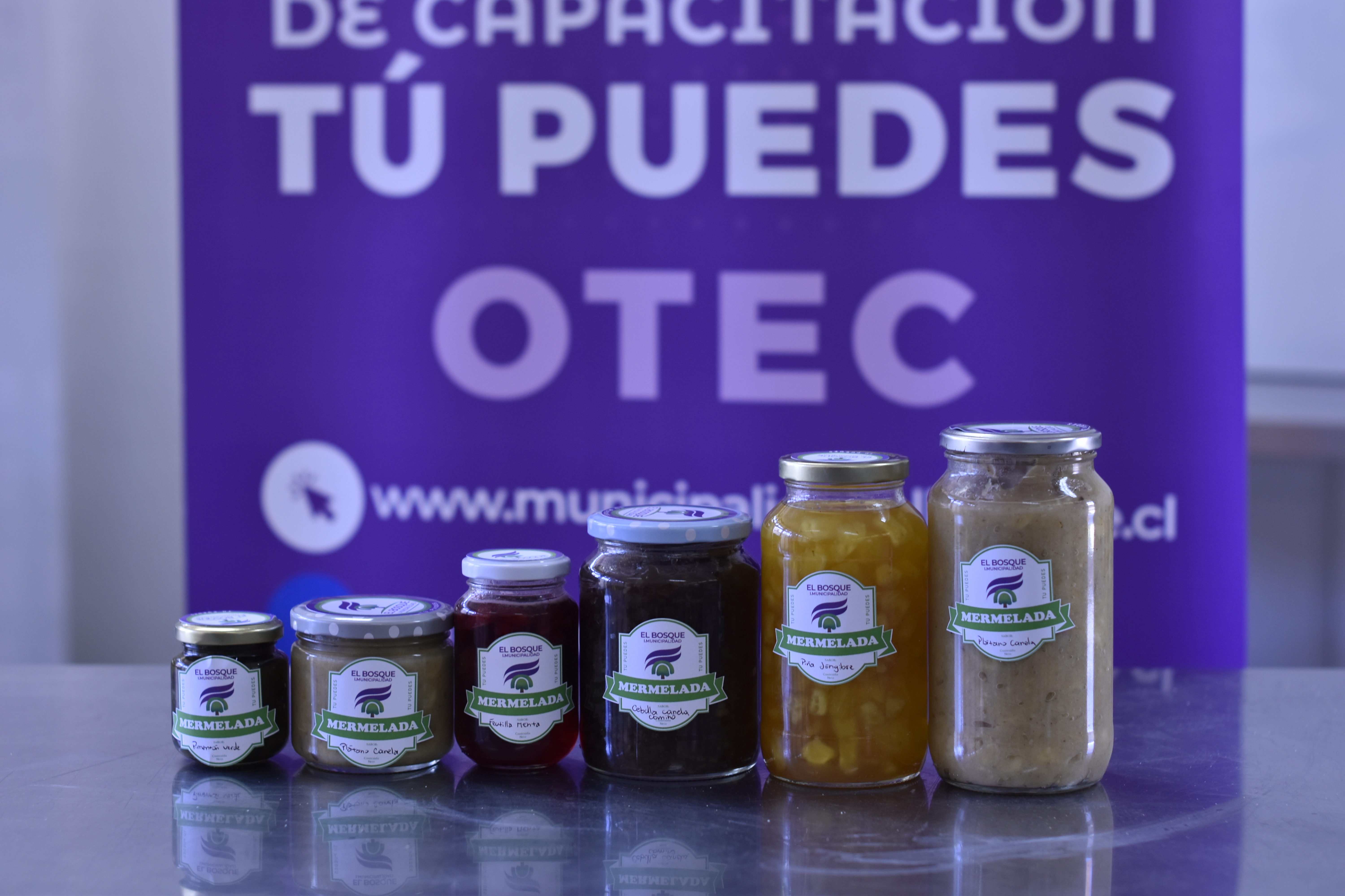 Área Transversal de Gastronomía 2025